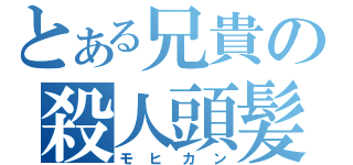 とある兄貴の殺人頭髪（モヒカン）