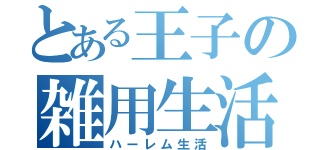 とある王子の雑用生活（ハーレム生活）