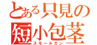 とある只見の短小包茎（スモールガン）