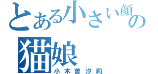 とある小さい顔の猫娘（小木曽汐莉）