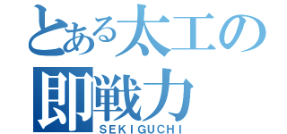 とある太工の即戦力（ＳＥＫＩＧＵＣＨＩ）