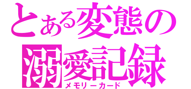 とある変態の溺愛記録（メモリーカード）