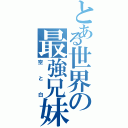 とある世界の最強兄妹（空と白）