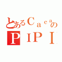 とあるＣａｃａのＰＩＰＩ（）