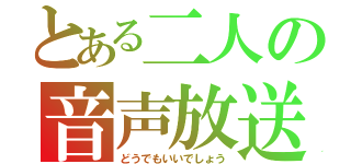 とある二人の音声放送（どうでもいいでしょう）