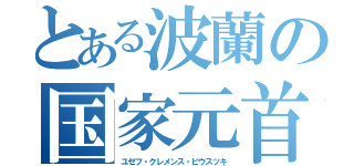 とある波蘭の国家元首（ユゼフ・クレメンス・ピウスツキ）