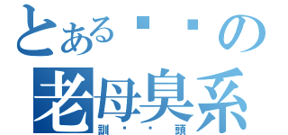 とある屌你の老母臭系（訓啦柒頭）