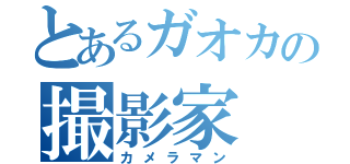 とあるガオカの撮影家（カメラマン）