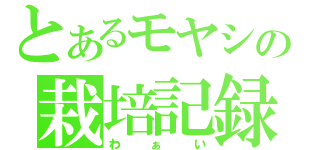 とあるモヤシの栽培記録（わぁい）