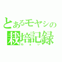 とあるモヤシの栽培記録（わぁい）