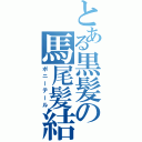 とある黒髪の馬尾髪結（ポニーテール）