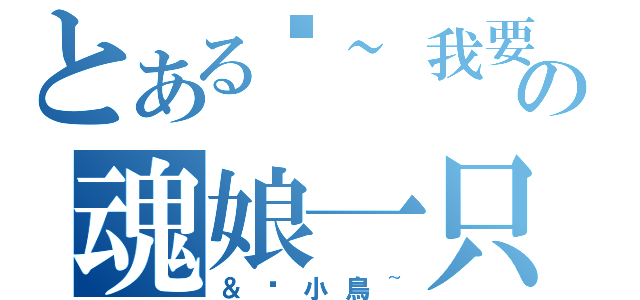 とある啊~我要去了~の魂娘一只（＆烤小鳥~）