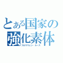 とある国家の強化素体（フロウウェン・ルース）