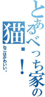 とあるべっち家の猫〜！（ねこはかわいい〜）