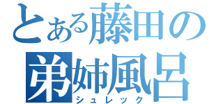 とある藤田の弟姉風呂（シュレック）