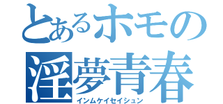 とあるホモの淫夢青春（インムケイセイシュン）