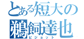 とある短大の鵜飼達也（ピジョット）