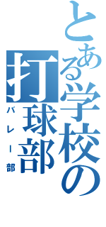 とある学校の打球部（バレー部）