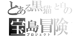 とある黒猫と白猫の宝島冒険（プロジェクト）