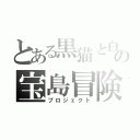 とある黒猫と白猫の宝島冒険（プロジェクト）