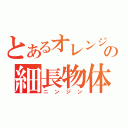 とあるオレンジの細長物体（ニンジン）