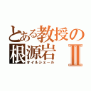 とある教授の根源岩Ⅱ（オイルシェール）