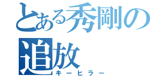 とある秀剛の追放（キーヒラー）