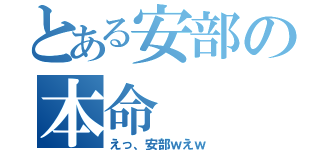 とある安部の本命（えっ、安部ｗえｗ）