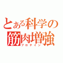 とある科学の筋肉増強（プロテイン）