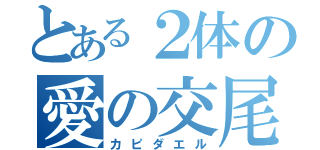 とある２体の愛の交尾（カピダエル）