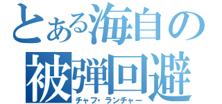 とある海自の被弾回避（チャフ・ランチャー）