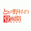 とある野村の覚醒期（夜の野球）