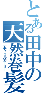 とある田中の天然巻髪（ナチュラルカーリー）