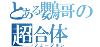 とある鸚哥の超合体（フュージョン）