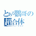 とある鸚哥の超合体（フュージョン）