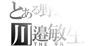 とある野球部の川邉敏生（ＴＨＥ 平凡）