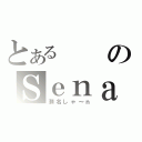 とあるのＳｅｎａ（瀬名しゃ～ｎ）