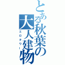 とある秋葉の大人建物（エロタワー）