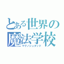 とある世界の魔法学校（マグノシュタッド）