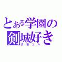 とある学園の剣城好き（月影エル）