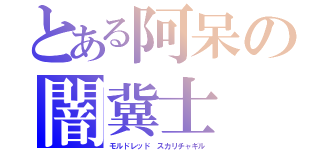 とある阿呆の闇冀士（モルドレッド　スカリチャギル）