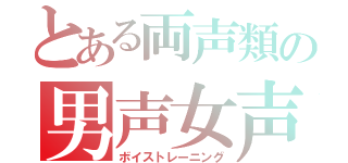 とある両声類の男声女声練習（ボイストレーニング）