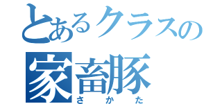 とあるクラスの家畜豚（さかた）