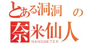 とある洞洞腦の奈米仙人（ＮＡＮＯＭＥＴＥＲ）