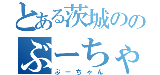 とある茨城ののぶーちゃん（ぶーちゃん）