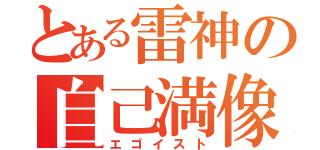 とある雷神の自己満像（エゴイスト）