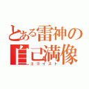 とある雷神の自己満像（エゴイスト）