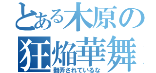 とある木原の狂焔華舞鬼（翻弄されているな）