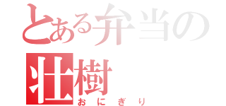 とある弁当の壮樹（おにぎり）