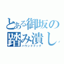 とある御坂の踏み潰し（ハウンドドッグ）